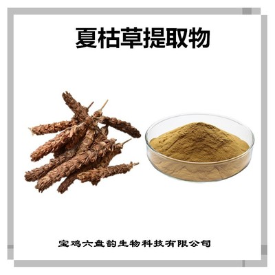 夏枯草提取物與龍眼 傳統(tǒng)藥食同源的碰撞與雙重健康功效