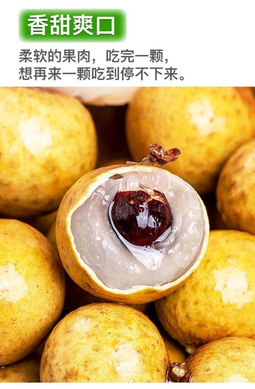 龍眼 南國珍果的千年甜蜜