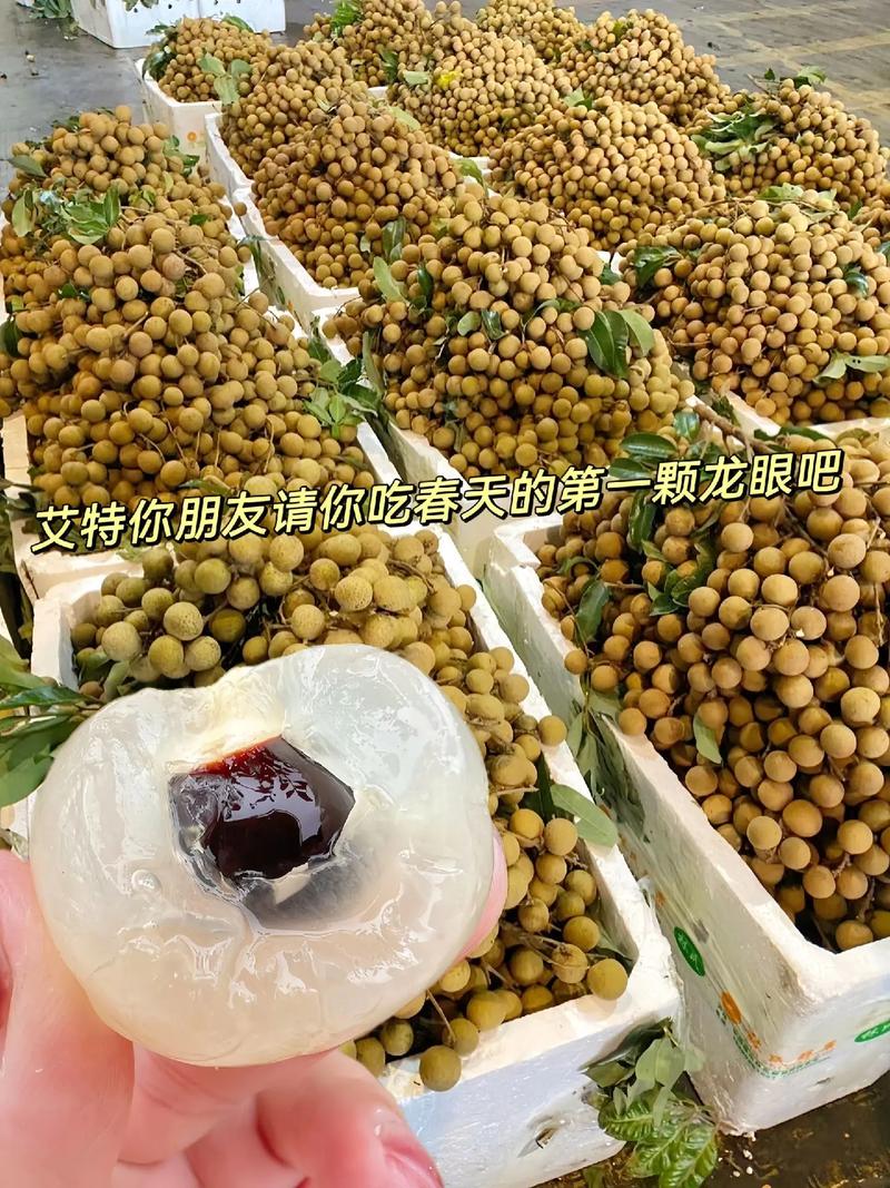 龍眼正當(dāng)季 小小一顆，憑什么成為夏日寶藏水果？